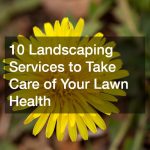 10 Landscaping Services to Take Care of Your Lawn Health