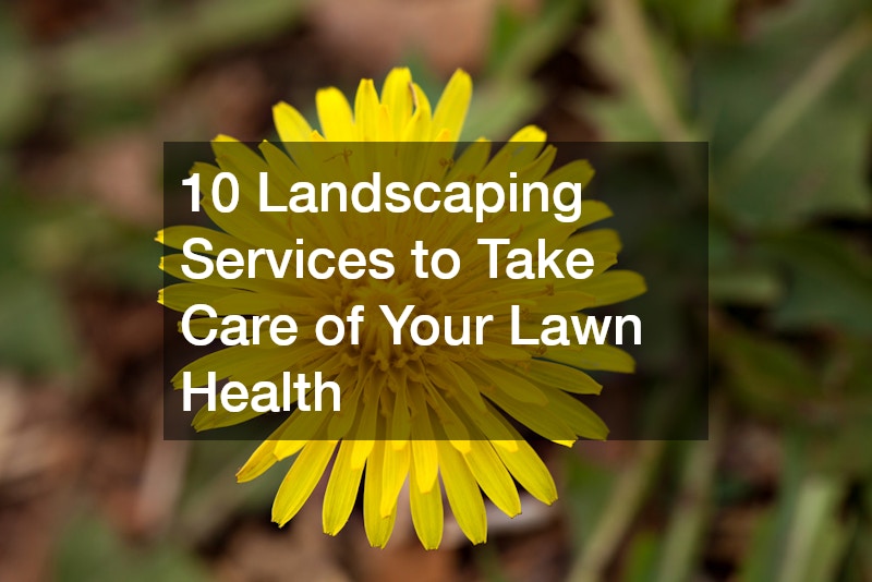 10 Landscaping Services to Take Care of Your Lawn Health