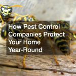 How Pest Control Companies Protect Your Home Year-Round