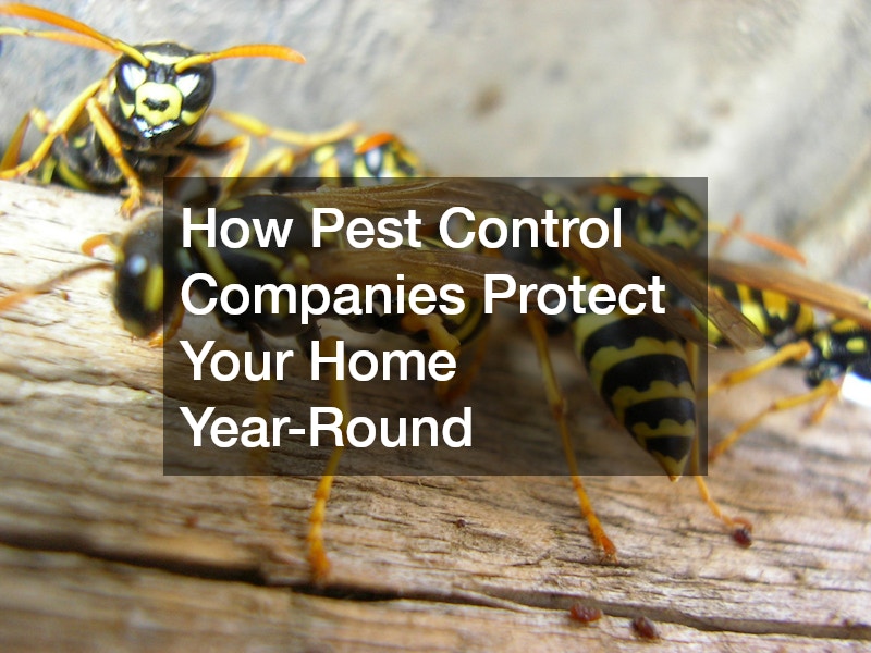 How Pest Control Companies Protect Your Home Year-Round