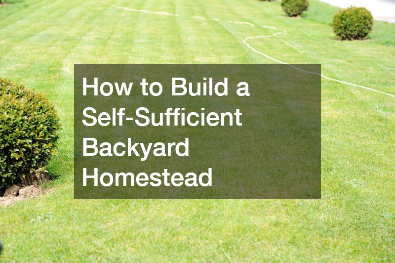 How to Build a Self-Sufficient Backyard Homestead