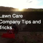 Lawn Care Company Tips and Tricks