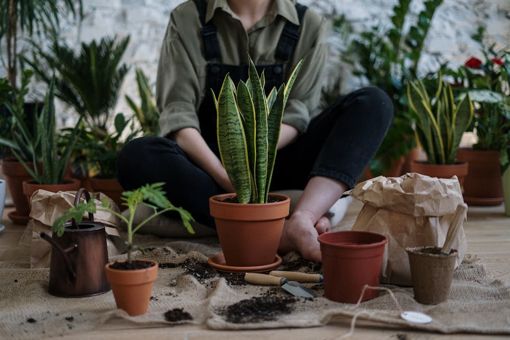 a person doing some gardening